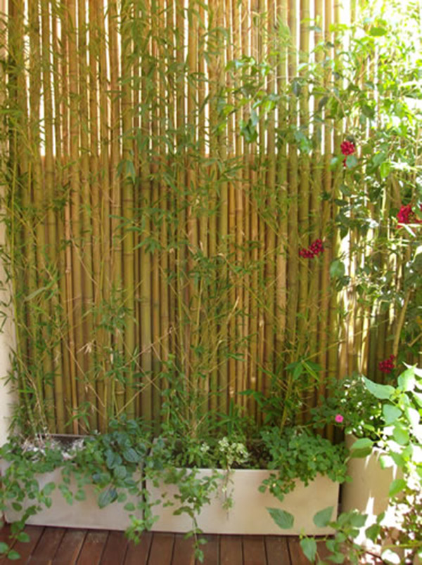 Terraza con pantalla de ramas de bambú para taparle la vista al vecino