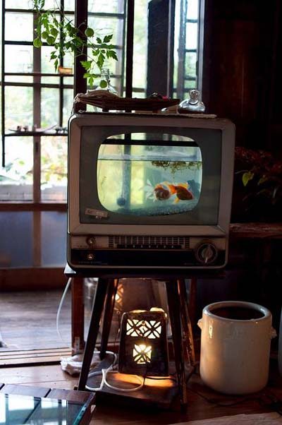 acuario_television_retro