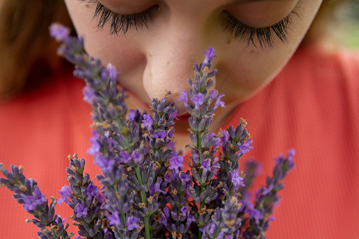 Lavanda para decorar y aromatizar una casa zen y calmante