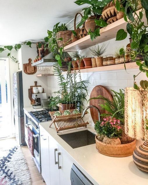 Plantas en la cocina. Ideas para decorar la cocina con plantas