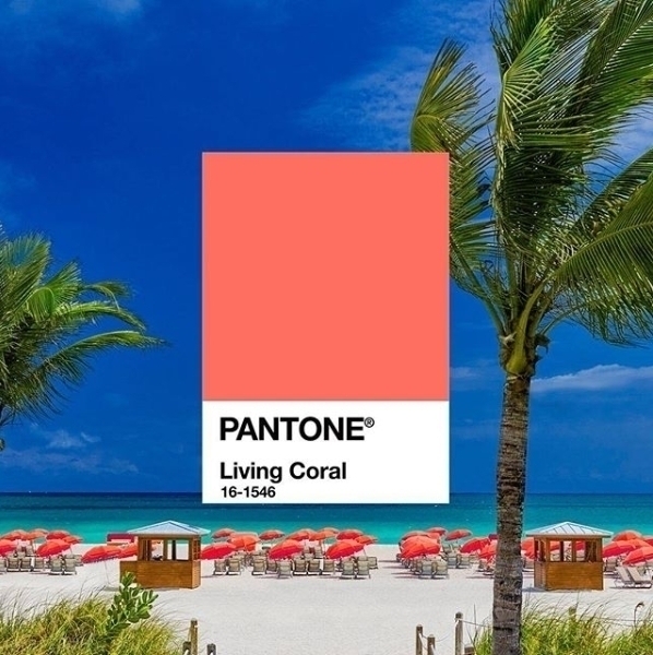 Color Pantone del Año 2019 Living Coral