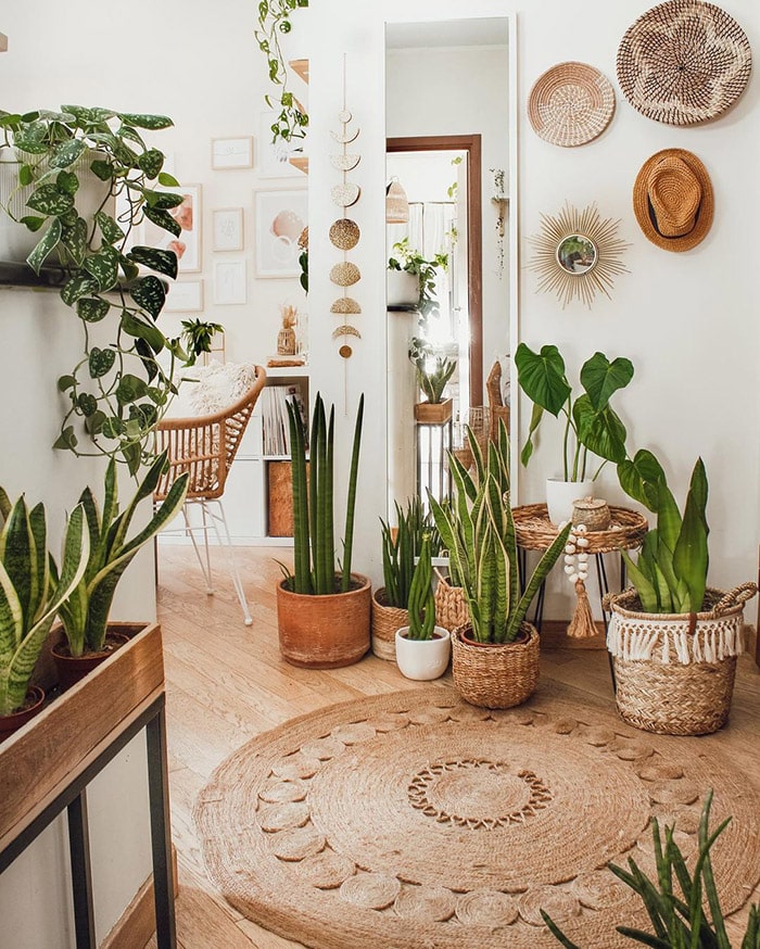 Decoración con plantas para tener una casa más armoniosa