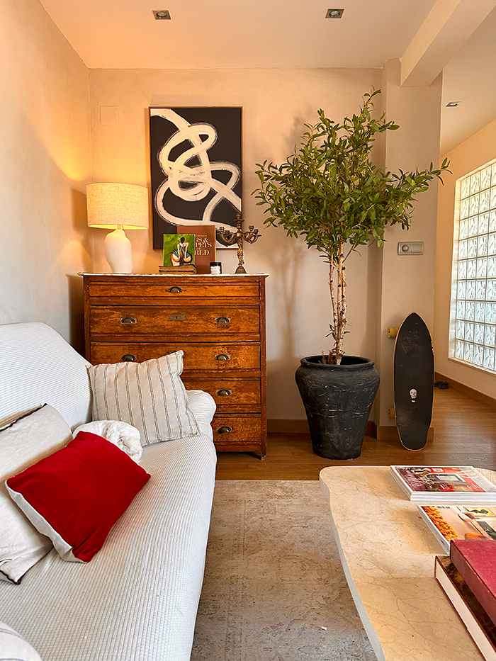 olivo de interior alto en un macetero