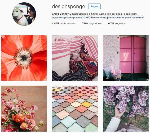 designsponge-instagram-decoracion