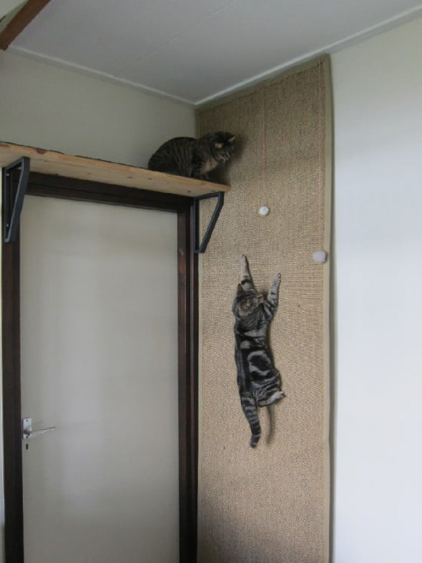 Estantes, rascadores y camas DIY para gatos y gatificar la casa