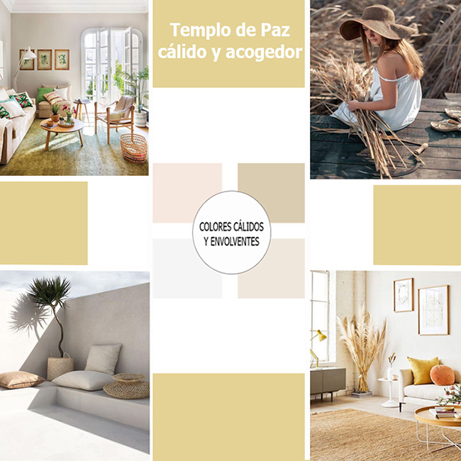 Crea un moodboard