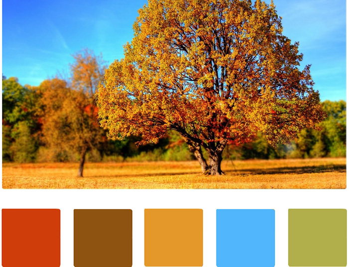 Paleta de colores para pintar y decorar la casa inspirada en otoño.