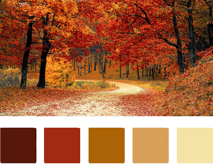 Paleta de colores para pintar y decorar la casa inspirada en otoño.