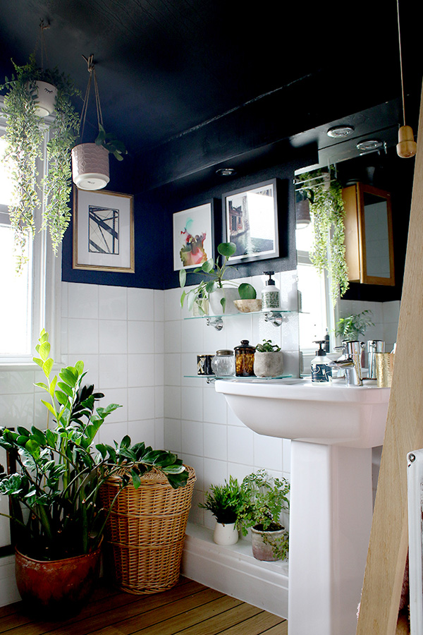 Un baño decorado con plantas.