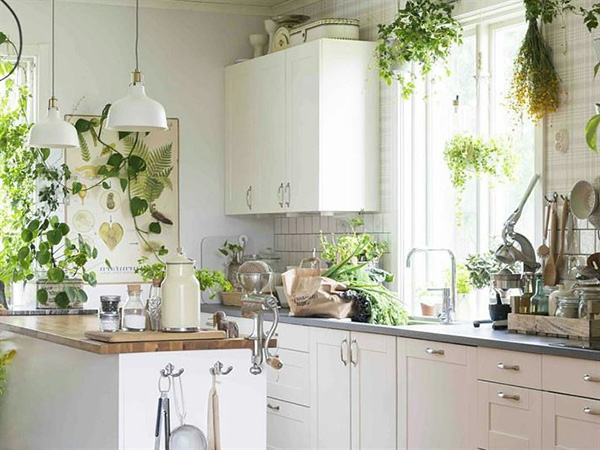 Una cocina decorada con plantas