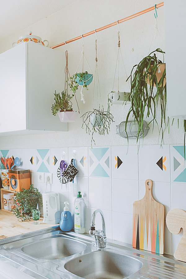 Plantas en la cocina. Ideas para decorar la cocina con plantas