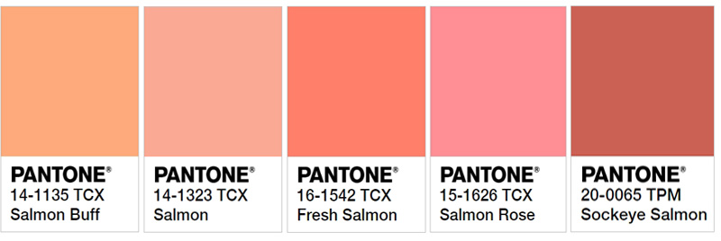 Diferentes tonos de salmón